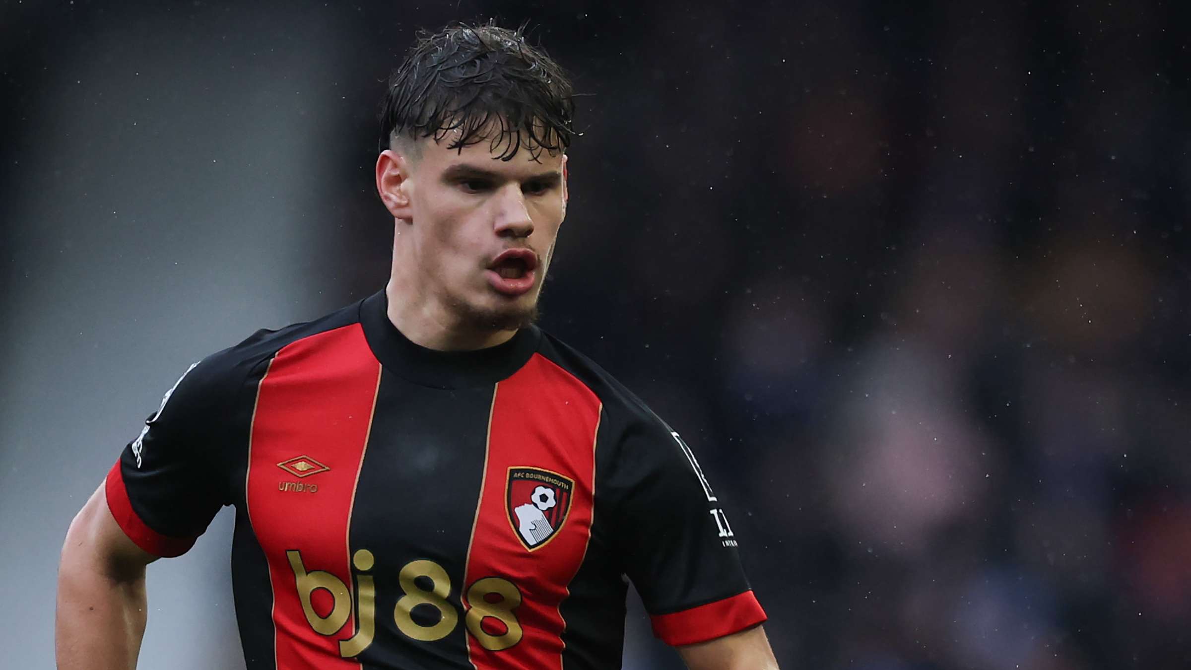 而他在与鲍 而他在与鲍