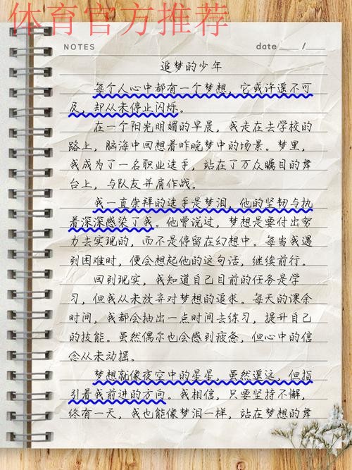 回望|中国之队的2017 梦里依稀有泪光 梦想不止在路上 回望|中国之队的2017 梦里依稀有泪光 梦想不止在路上